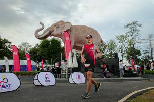 BIB: 
                            <button type="button" onclick="openModal(26528656)" class="btn btn-primary btn-sm float-right btn-popup" data-toggle="modal" data-target=".modal-high-quality">
                        <i class="fas fa-shopping-cart"></i> Add to Cart
                    </button>
                                            <button type="button" onclick="isThisMe(26528656, true)" class="btn btn-success btn-sm float-right btn-popup btn-isme hidden" data-toggle="tooltip" data-placement="bottom" title="นี่คือรูปของคุณใช่ไหม คลิกที่นี่เพื่อเอาเข้าอัลบั้ม">
                        <i class="fas fa-plus"></i> Add to album
                    </button>
                    <button type="button" onclick="isThisMe(26528656, false)" class="btn btn-warning btn-sm float-right btn-popup btn-isnotme hidden">
                        <i class="fas fa-ban"></i> Remove from album
                    </button>